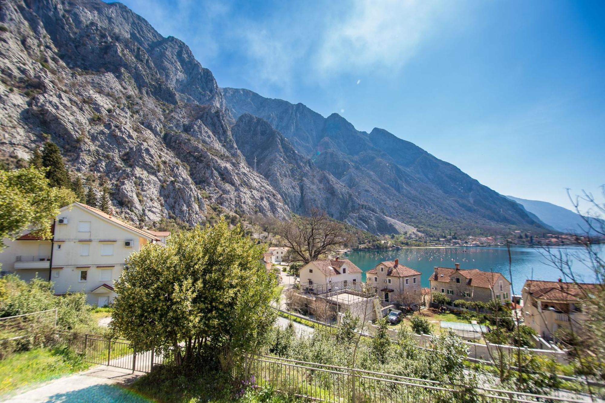 Apartments Lav Kotor Eksteriør bilde
